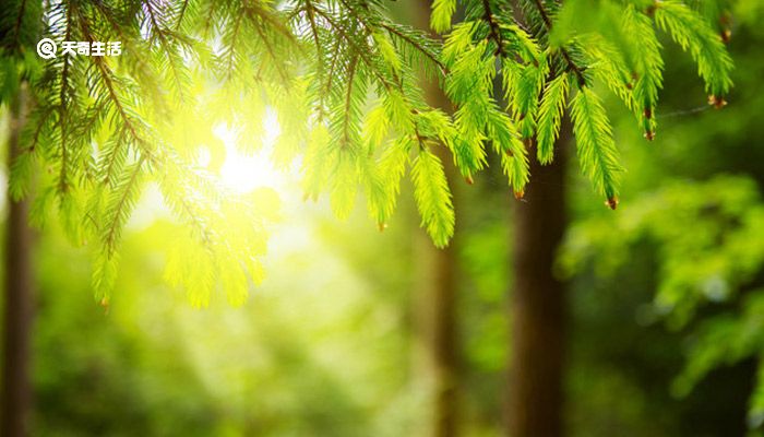 心态好格局大的句子 好心态正能量的句子