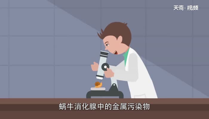 蜗牛是益虫还是害虫 蜗牛属于益虫还是害虫