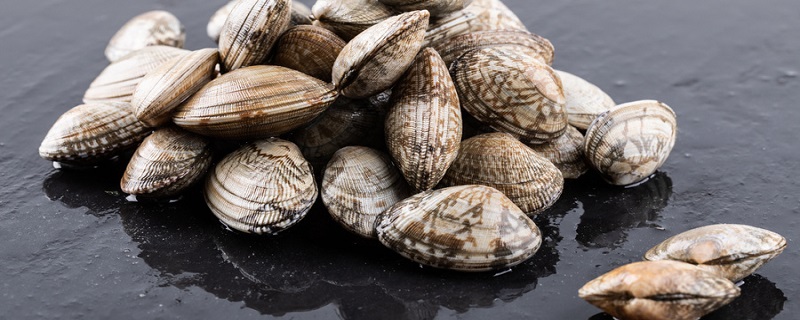 蛤蜊吐沙最快的方法 蛤蜊的热量