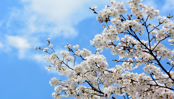 祝福朋友的话语 暖心 祝福朋友的暖心话语 
