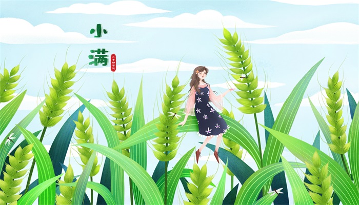 小满和芒种区别 小满和芒种的区别是什么