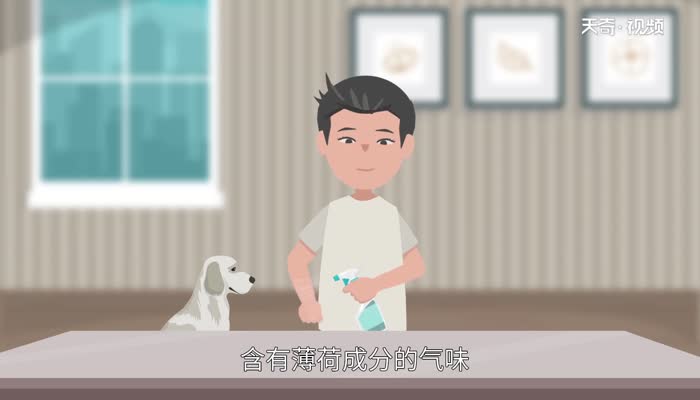 狗怕什么气味 狗害怕的气味有哪些