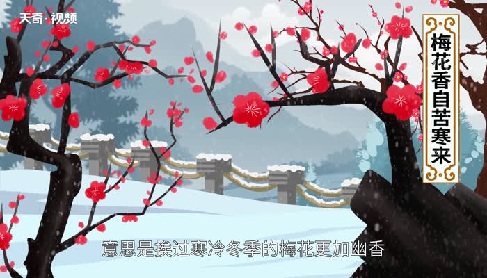 梅花香自苦寒来的意思 梅花香自苦寒来的含义