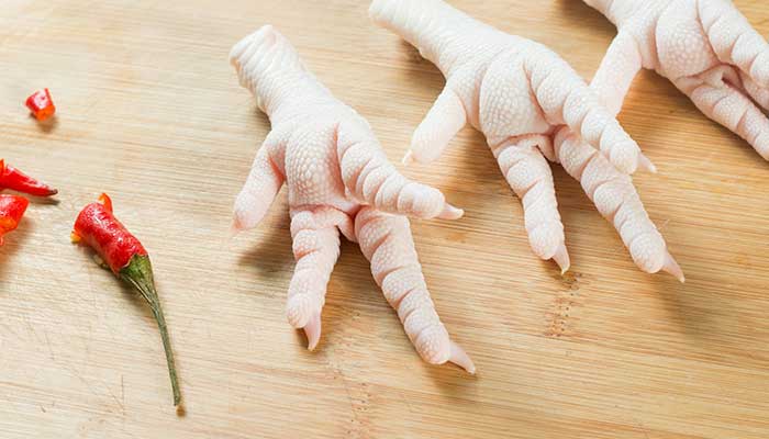 前爪的拼音 前爪怎么读