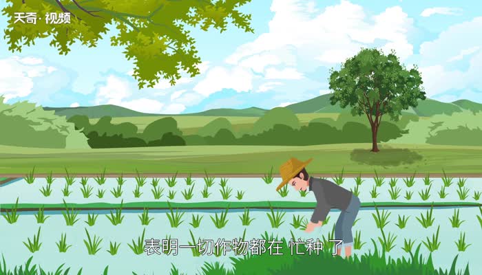 芒种为什么叫芒种 24节气芒种为什么叫芒种