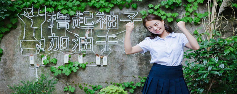 flag是什么意思中文 flag的意思