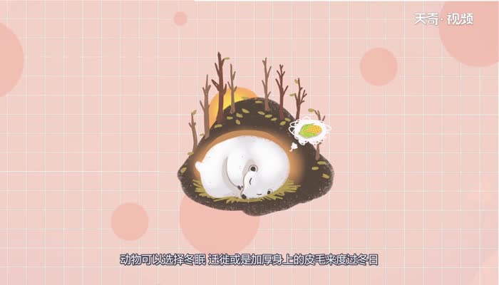 植物怎么过冬 植物过冬是怎么过的