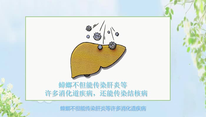 蟑螂的危害 蟑螂的危害有哪些