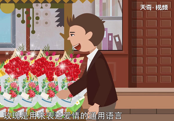 送玫瑰花朵数的含义 如何送玫瑰花