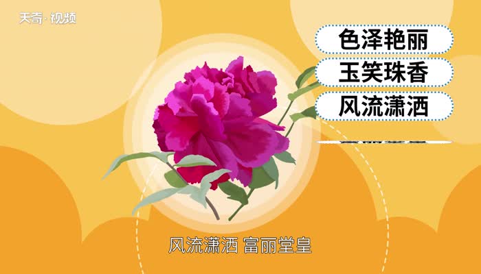 春天开什么花 春天开的有什么花