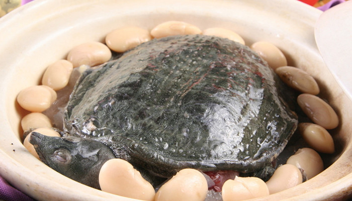 甲鱼是海鲜吗 甲鱼生活在哪里