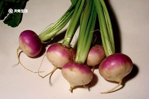 蔓菁的功效与作用 蔓菁的功效与作用有哪些