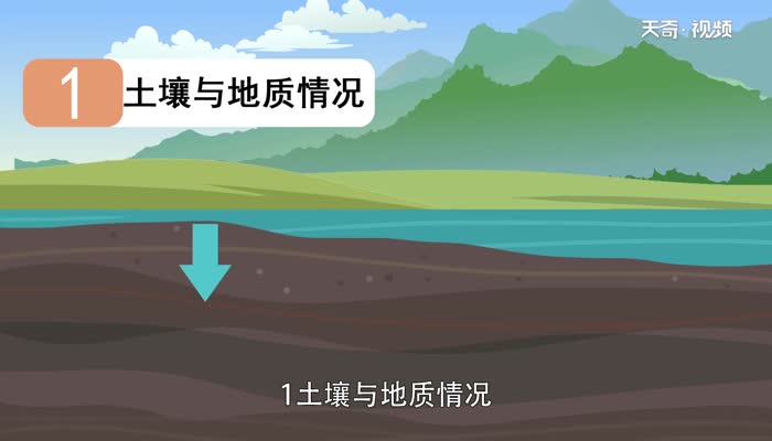 洪涝灾害产生的原因 洪涝灾害形成的原因