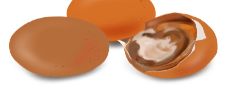 毛鸡蛋是什么 毛鸡蛋是什么蛋