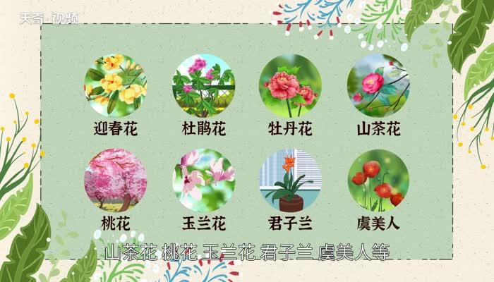 春天开什么花 春天开的有什么花