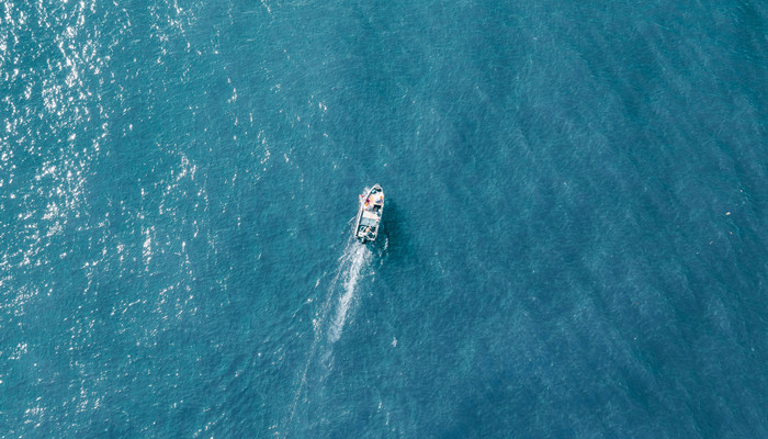 象牙塔是什么意思 象牙塔什么意思