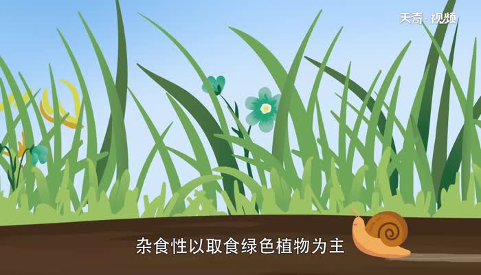 蜗牛是益虫还是害虫 蜗牛属于益虫还是害虫