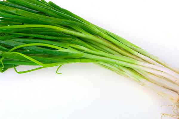 葱的功效与作用 葱的禁忌人群