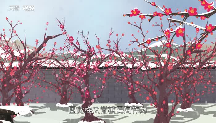 梅花香自苦寒来的意思 梅花香自苦寒来的含义