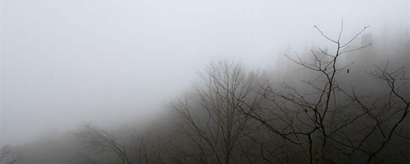 雾怎么形成的原因是什么 关于雾的形成原因