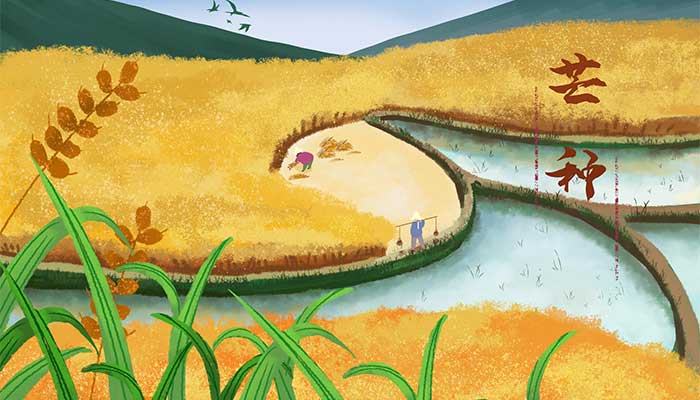 芒种与生产生活的关系 芒种与生产生活是什么关系