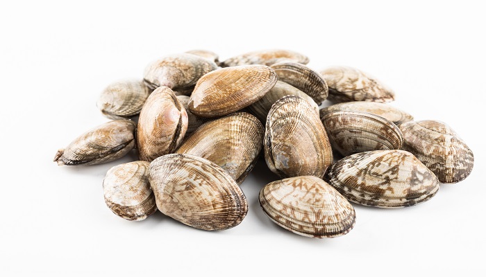 蛤蜊吐沙最快的方法 蛤蜊的热量