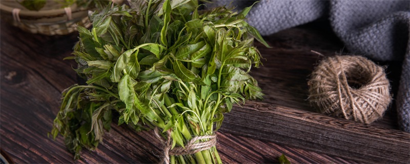 香椿有毒吗 香椿有没有毒