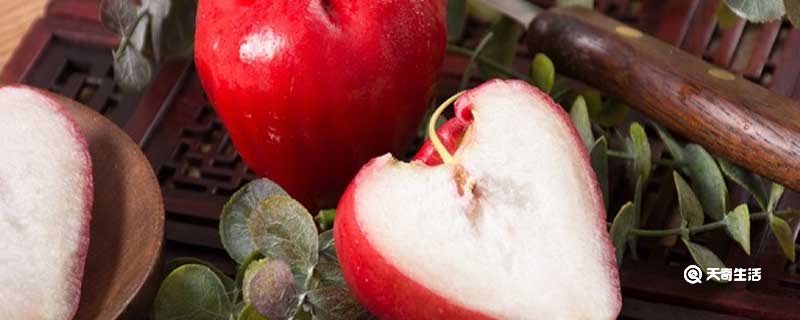 莲雾怎么吃要不要削皮 莲雾需不需要削皮