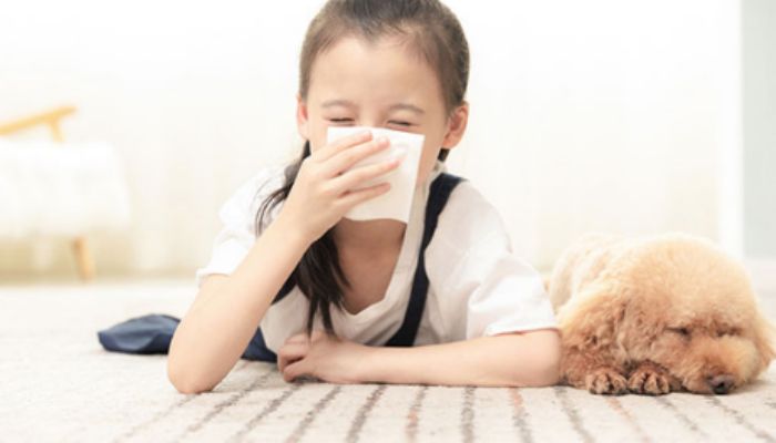 打喷嚏的含义一想二骂 打喷嚏的含义一想二骂是真的吗