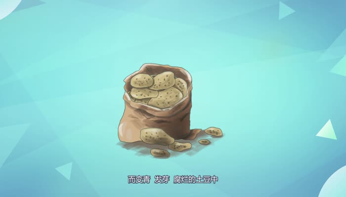 土豆发青能吃吗 能吃发青的土豆吗