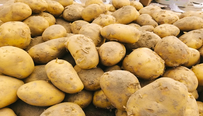 土豆的热量是多少 土豆的热量有多高