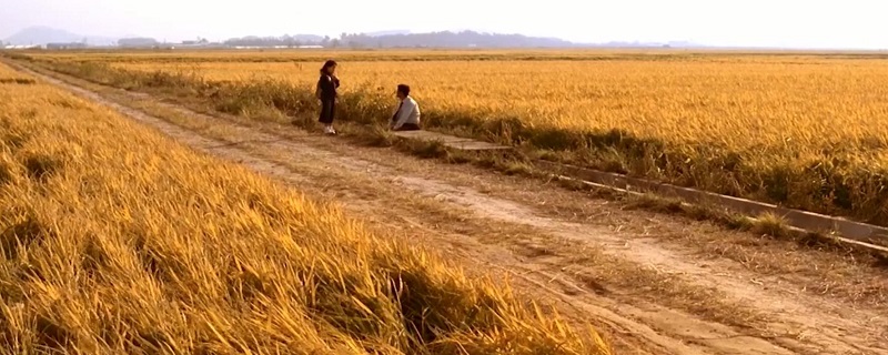 梦到连环杀人 梦到连环杀人是什么意思