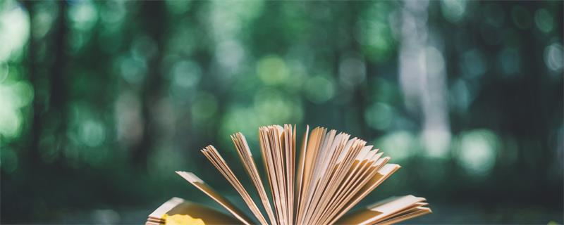 文体包括哪些 文体有哪些