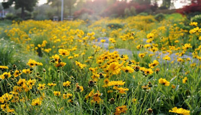 梦到连环杀人 梦到连环杀人是什么意思