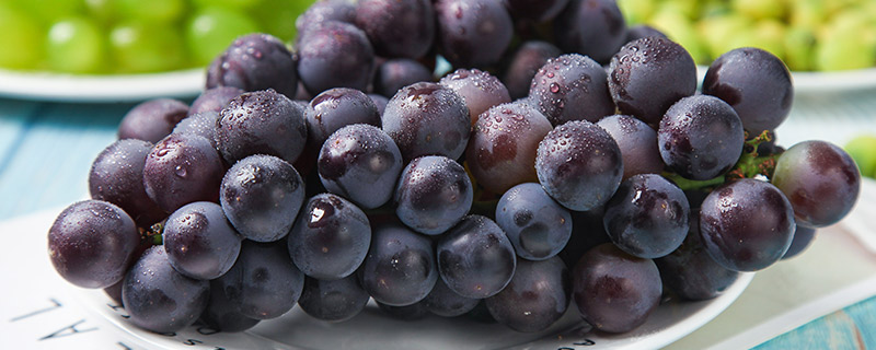 葡萄种植技术 葡萄种植技术的要点