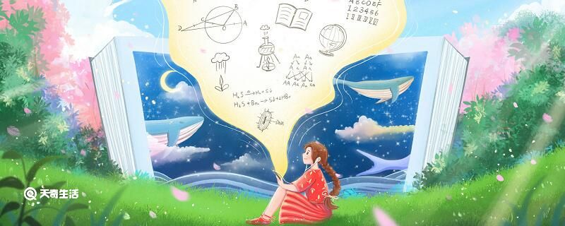 什么是有理数 有理数是什么