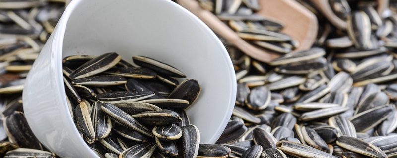 毛嗑和瓜子区别 毛嗑和瓜子有什么不同