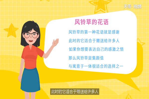 风铃草的花语 风铃草有什么花语