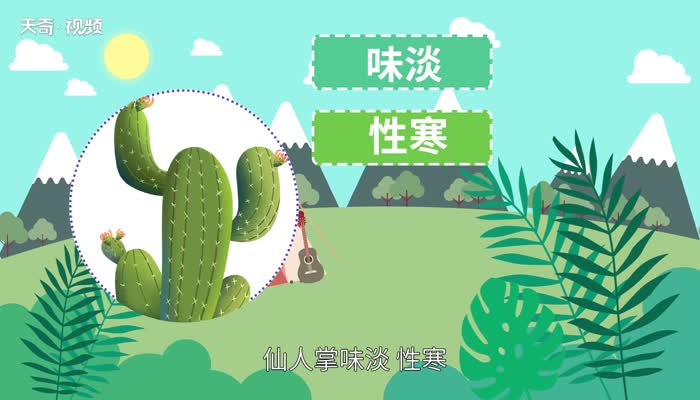 仙人掌的特点 仙人掌的介绍