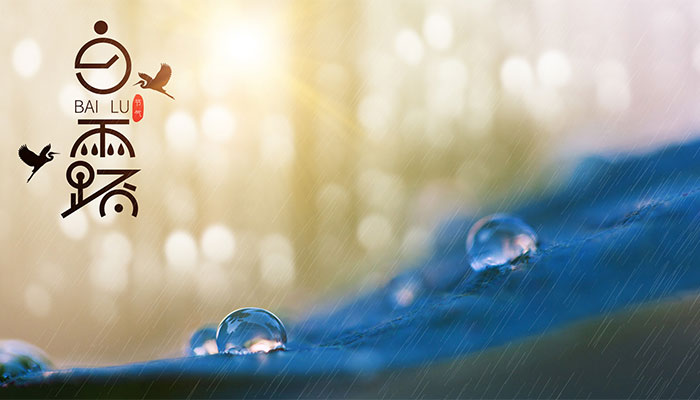 白露是什么季节 白露属于哪个季节