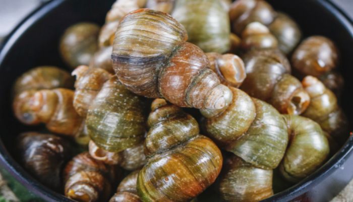 夜市爆炒田螺的做法 爆炒田螺怎么做