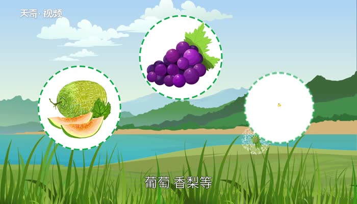 新疆干果种类 新疆干果有哪些