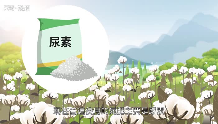 什么是氮肥 氮肥是什么肥