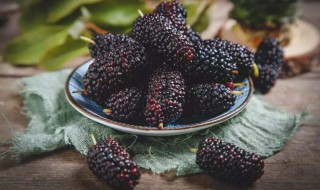 桑葚有什么功效 桑葚有什么功效与作用 食用方法