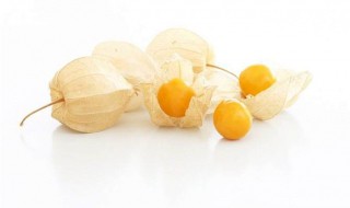 灯笼果的繁殖方法 灯笼果怎么繁殖方法