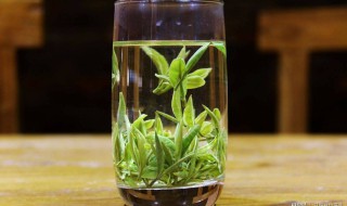 识别绿茶的最佳方法 如何一眼识别绿茶