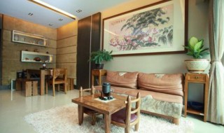 家中南面摆放什么风水好（家里东南方向放什么风水好）