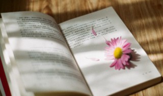 一句话领悟人生 一句话领悟人生的名言