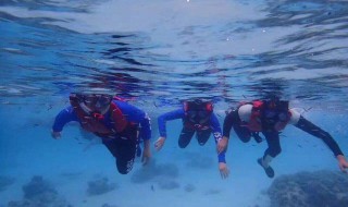 潜水打鱼的正确方法 潜水打鱼的正确方法视频