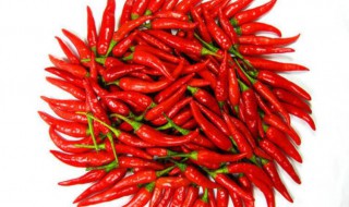 湿红辣椒的收藏方法（湿红辣椒的收藏方法是什么）